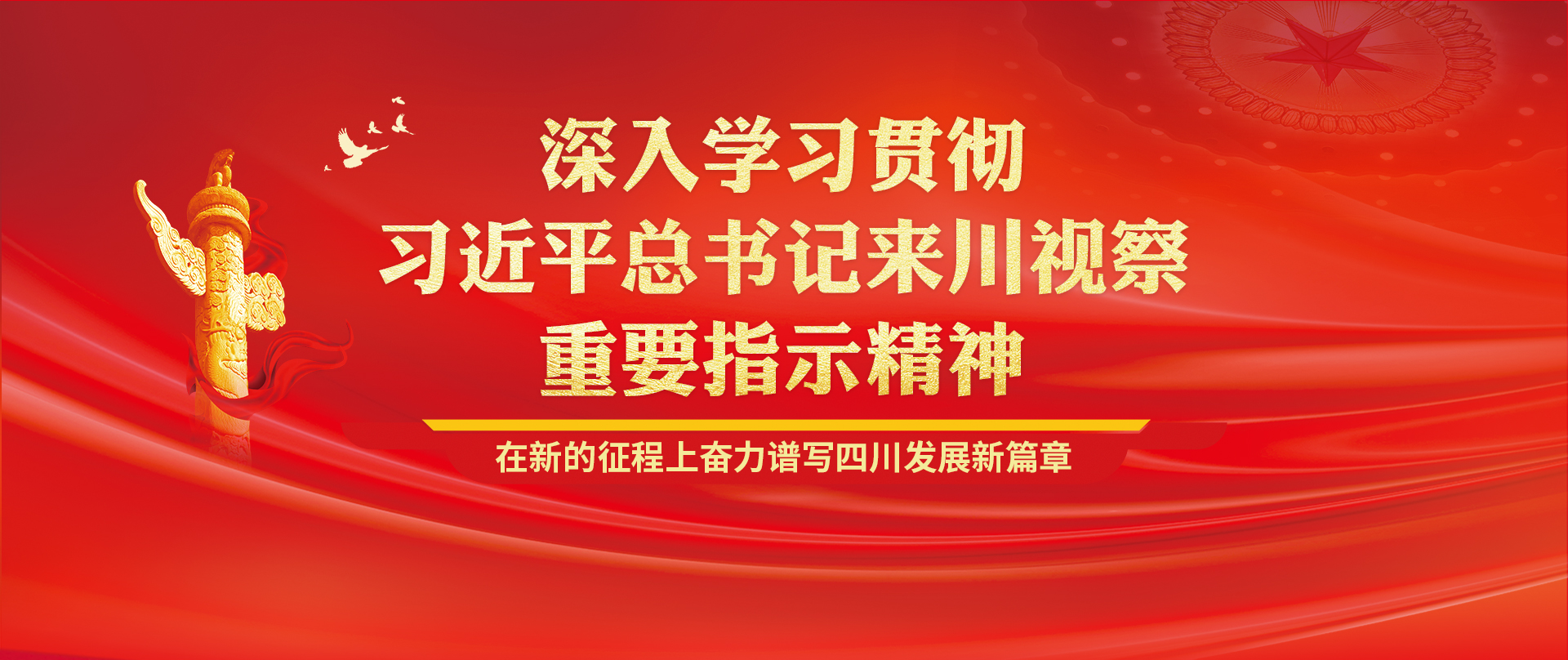 深入学习贯彻习近平总书记来川视察主要指示精神